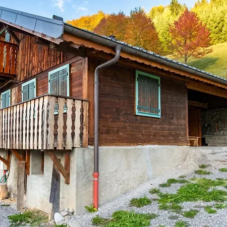 Maison Conviviale 200 M², Cheminée Abondance